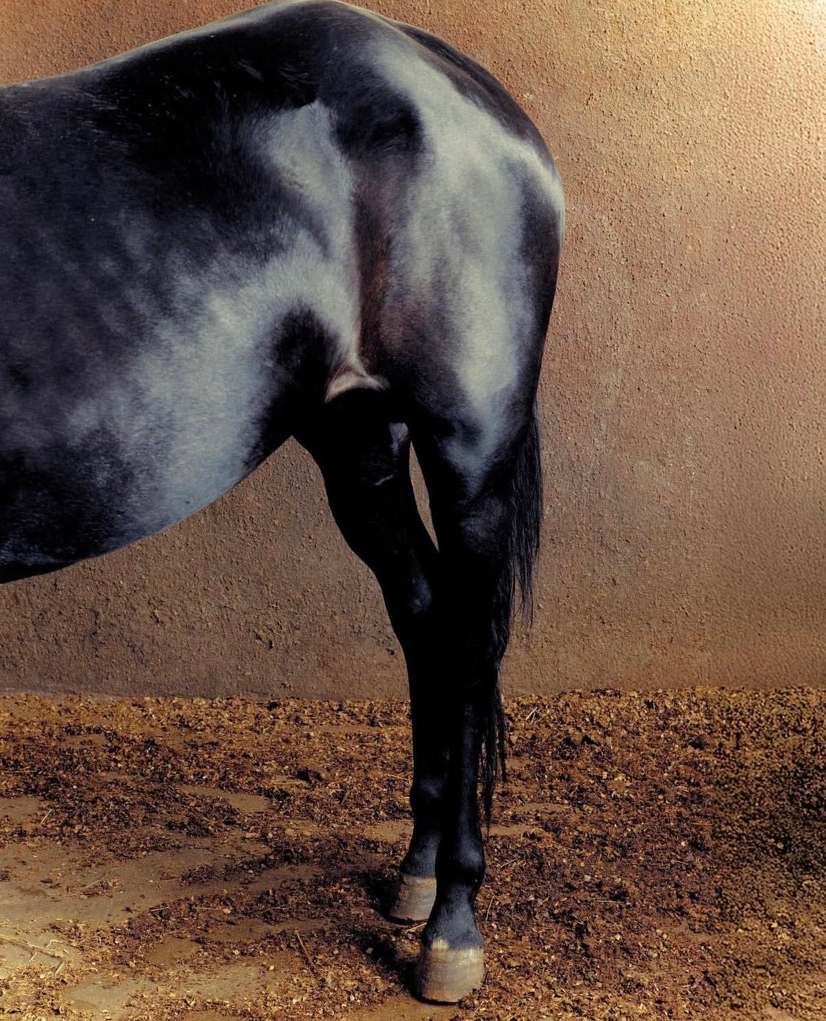 Walk like you mean it