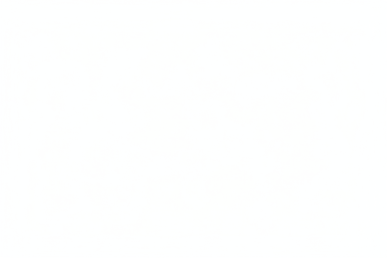 ENTIRE WHITE IMAGE