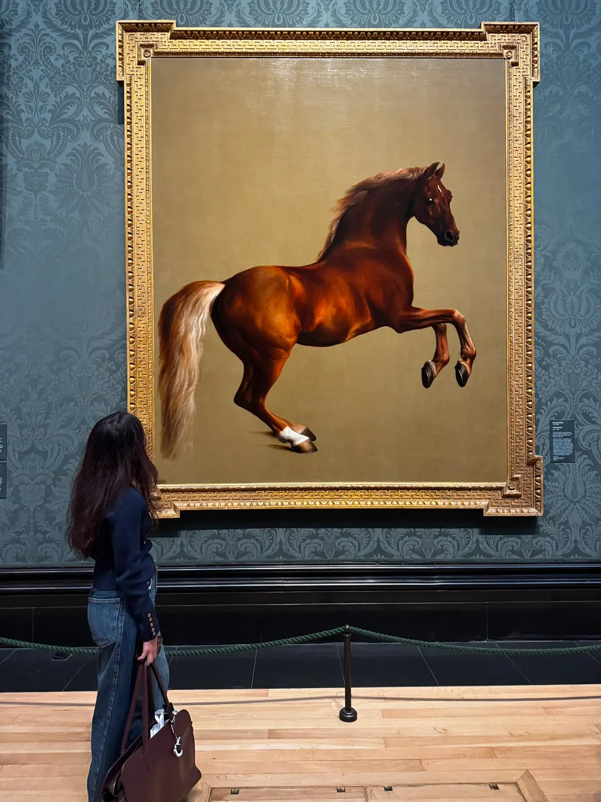 Whistlejacket by George Stubbs